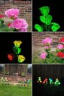 5 SOLAR ROSES  5 color Changing, bendable, color changing roses in one — photo 6