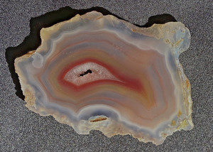 Condor Agate Extraordinary Colors Nodule Formation Rough Slab Specimen 22 Grams