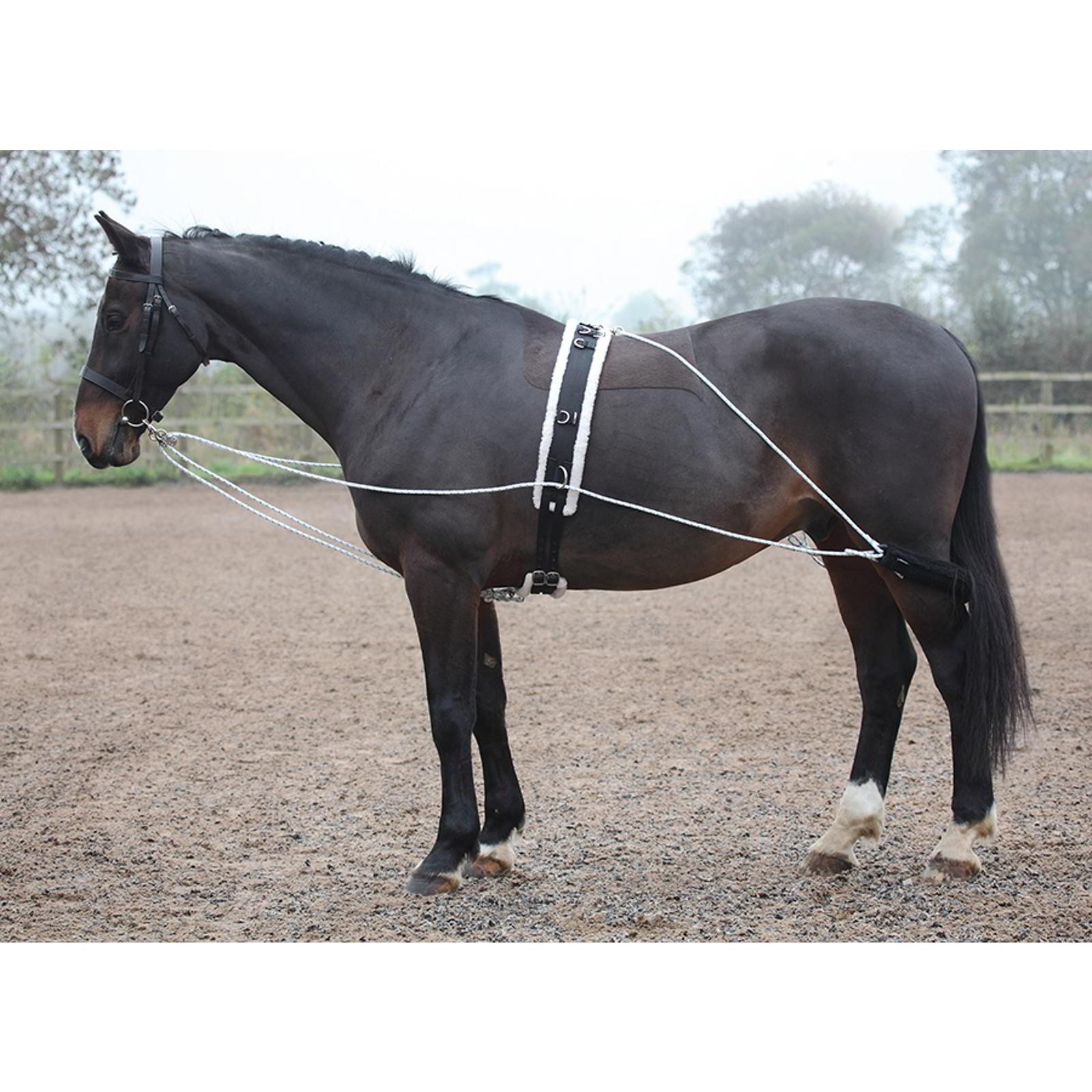 Shires Lunging Aid - One Size - Lunge Aid Similar to Pessoa