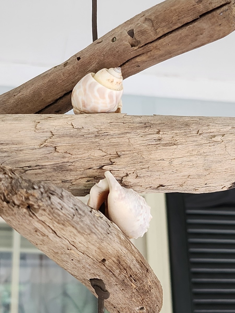 Hazel Olsen Pottery Dolphin Shells Driftwood Wind Chime signed | eBay
