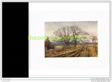 EARLY SPRING, NEAR VICTORIA, BRITISH COLUMBIA, Book Illustration, 1907