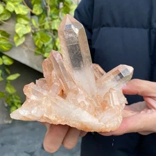 1.1lb Natural Clear White Crystal Quartz Cluster Rough Healing Specimen