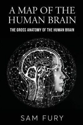 Sam Fury A Map of the Human Brain (Paperback) Functional Health (UK IMPORT)