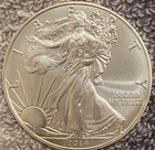 2014 American Silver Eagle 1 oz Fine Silver Uncirculated Gem Flawless Condition