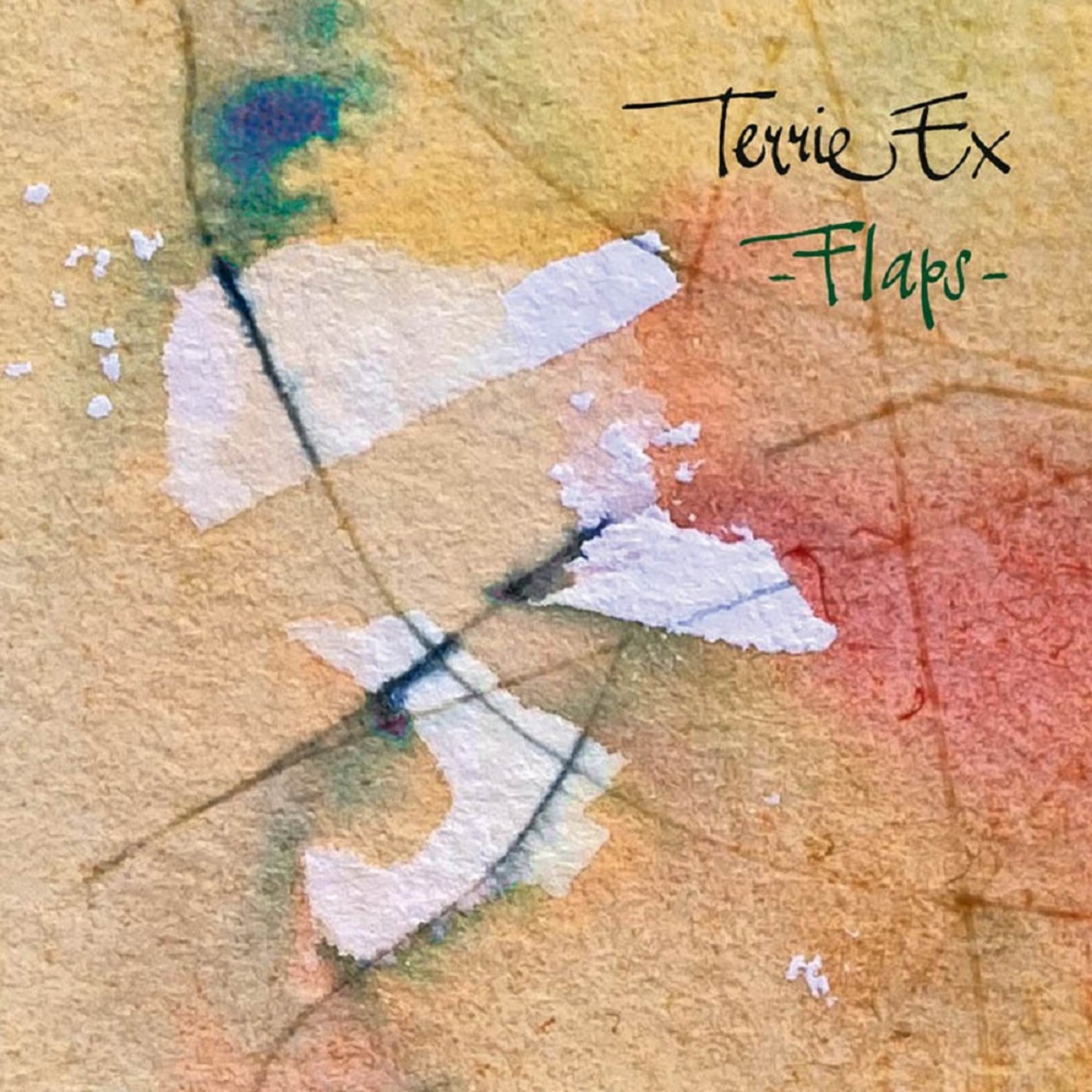 Terrie Ex Flaps! CD NEW