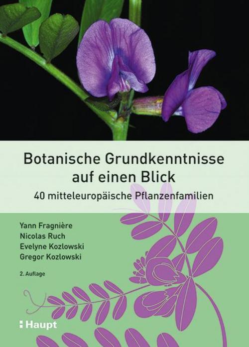 Botanische Grundkenntnisse Auf Einen Blick Yann Fragnière
