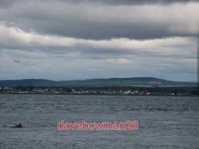 FOTO DELFIN IN MORAY FIRTH MIT LANDEFLUGZEUG FÜR FLUGHAFEN INVERNESS ÜBER TAK