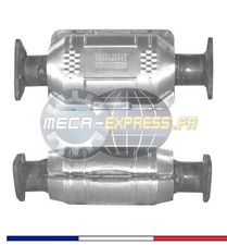 Catalyseurs Rover 825
