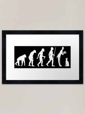 Evolution der Katzen Gerahmter Kunstdruck Gerahmtes Wandbild Poster Leinwanddruck Bild