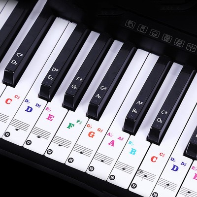 Transparente PVC Tastaturaufkleber für 37 88 Tasten digitale Instrumente einfach zu bedienen