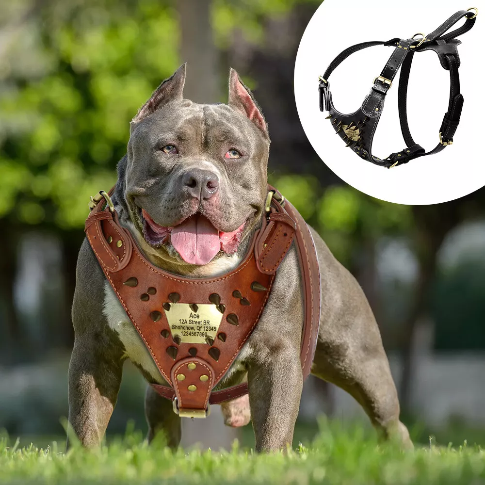 Custom Leather Dog Harness Spiked Studded Dog Harness Vest Personalized ID  Leather Harness for Medium Large Dogs Pitbull Bulldog (Medium, Black)