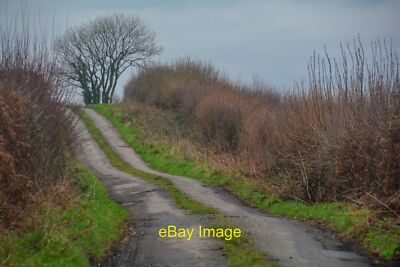 Photo 6x4 Romansleigh : Country Lane Odam Barton 2 c2022