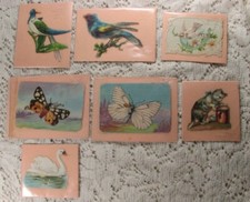 7 Victorian Die Cut Embossed Colorful Birds, Butterflies Kitten Scraps