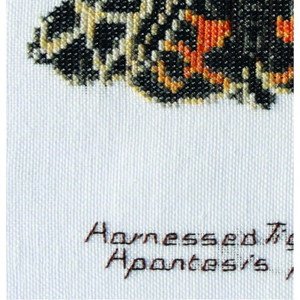 Kit a punto croce Farfalla Di Notte Tigre 569A thea gouverneur Aida eBay