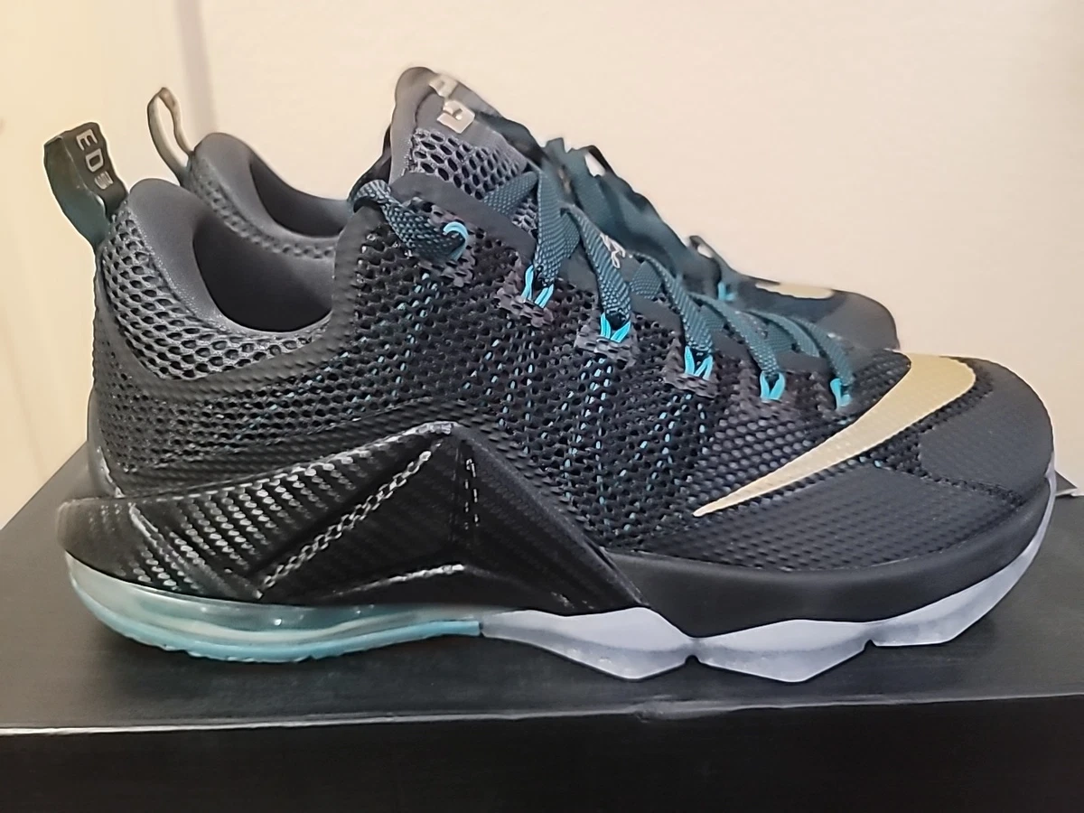Nike LeBron 12 Low Carbon Fiber for Sale | Authenticity Guaranteed