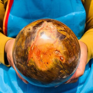 2360g Natural Petrified Wood Polished Stone Quartz Crystal Sphere Ball Healing