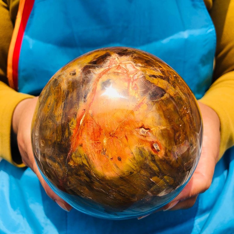 2360g Natural Petrified Wood Polished Stone Quartz Crystal Sphere Ball Healing