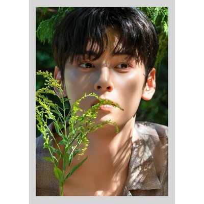 59 Cha Eun Woo [ASTRO] Photo: L version 89 x 127 mm