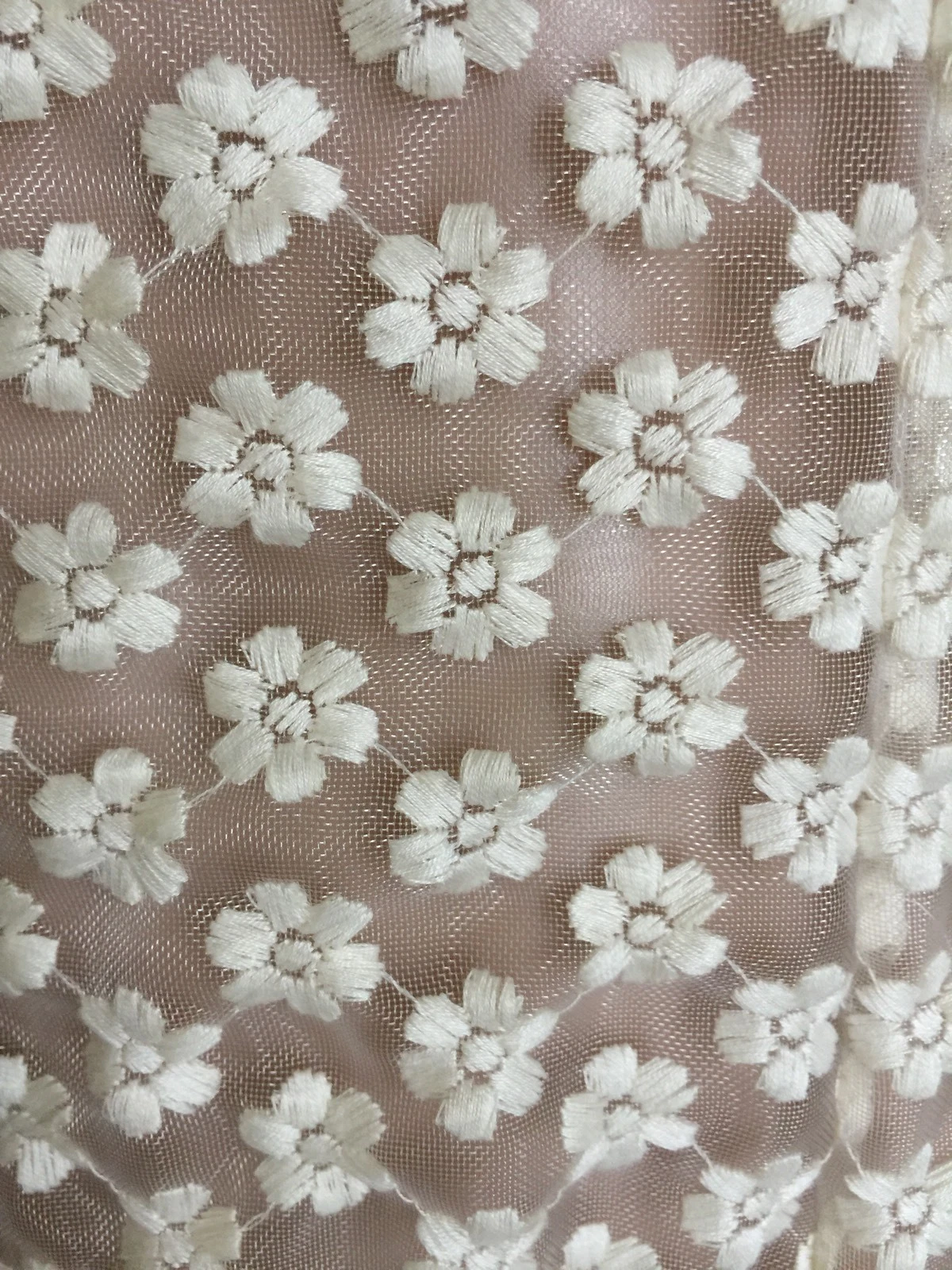 Picture 5 of 12