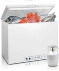 SMETA 2way Gas Freezer Deep Cooler Fridge Chest Freezer Top Open Door White 110V