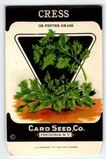Pepper Grass Cress 1920's Card Seed Co Packet EMPTY Vintage Fredonia New York NY