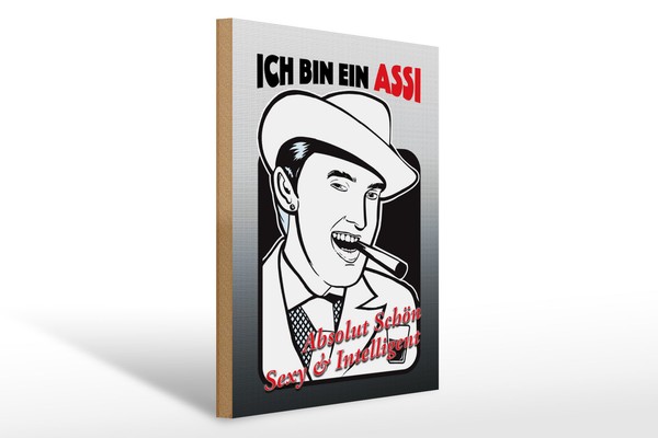 Holzschild Spruch 30X40 Cm Ich Bin Assi SchöN Intelligent Deko Schild-image