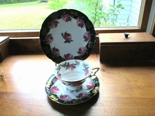 VINTAGE MITTERTEICH BAVARIA GERMANY CUP SAUCER & SALAD PLATE