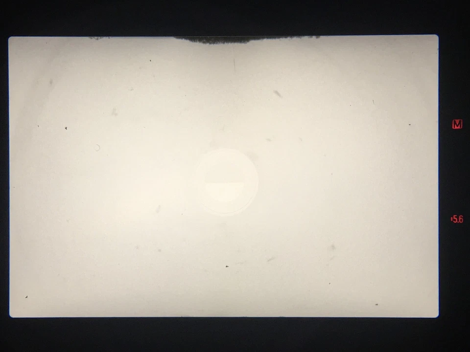 (HOOD [fast neuwertig] Canon AE-1 Program Filmkamera schwarz FD 50mm F1.4 Objektiv JAPAN - Bild 3 von 4