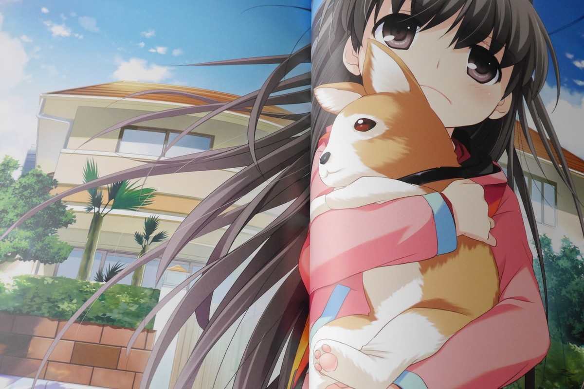 SHOWTIME Itaoka画集2015 Yuka Nakajima Art Book: Papakiki! +