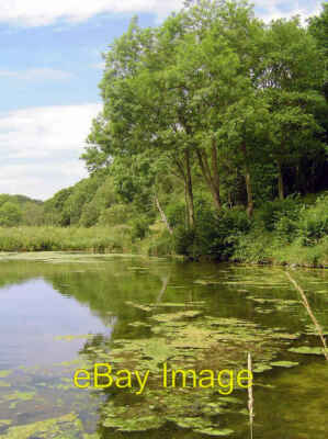 Photo 6x4 Nettle Dale Pond Rievaulx One of the four ponds that nestle at  c2006