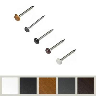 SEAC Plastic Headed Polytop Pins Fascia Fixing PV Panel Poly Top Pins Nails 30/40mm