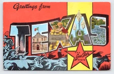 Large Letter Greetings Texas Postcard, Oil Alamo Grapefruit Yucca Bluebonnets