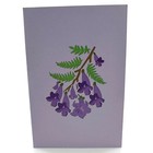 Foto 2 di 5