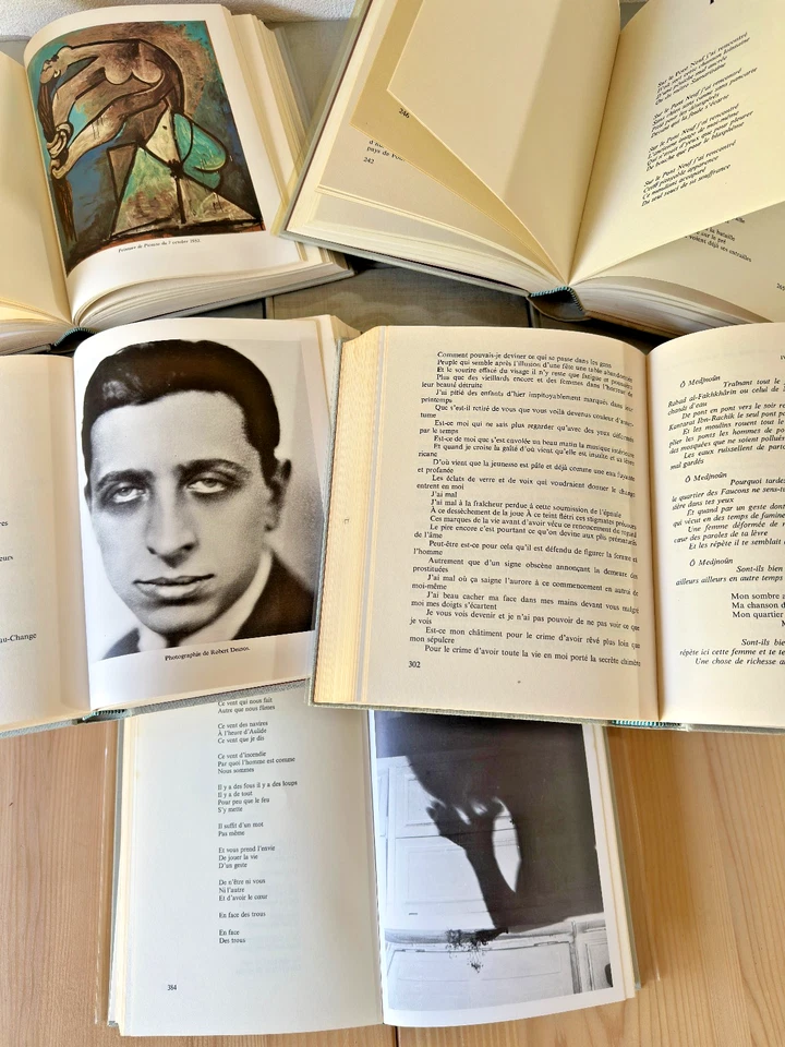 Aragon * l'Oeuvre Poétique * 15 Vol. Complet * Livre Club Diderot 1981 - Photo 4/4