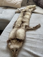 Pelz/Fell mit Kopfteil Silberfuchs