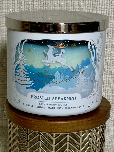 White Barn Bath Body Work 3 Wick Candles - Rare Retired Fragrances incl Holidays - 第 26/79 張圖片