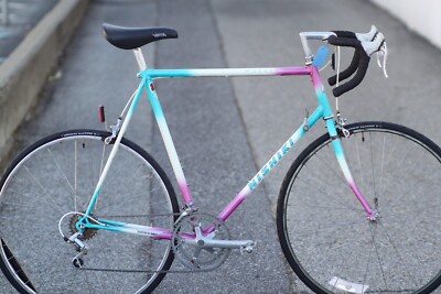 Nishiki Modulus Tange 900 Lugged Steel Road Bike Handcrafted