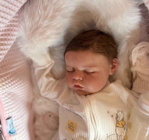 Lifelike Doll " Noah Asleep" Reva schick sleep Reborn Fake Baby Living Realistic - Picture 12 of 14