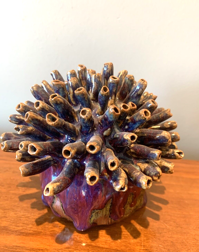 scultura ceramica arte popolare outsider creatura marina anemone corallo studio ceramica