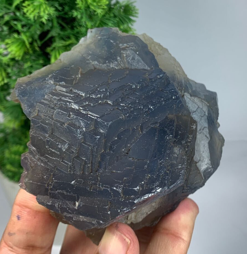850Grams Natural Phantom Flourite Terminated Crystal Specimen From Pakistan - Picture 4 of 18