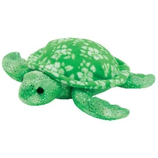 TY Beanie Baby - SUNRISE the Green Turtle (7 inch) - MWMTs Stuffed Animal Toy