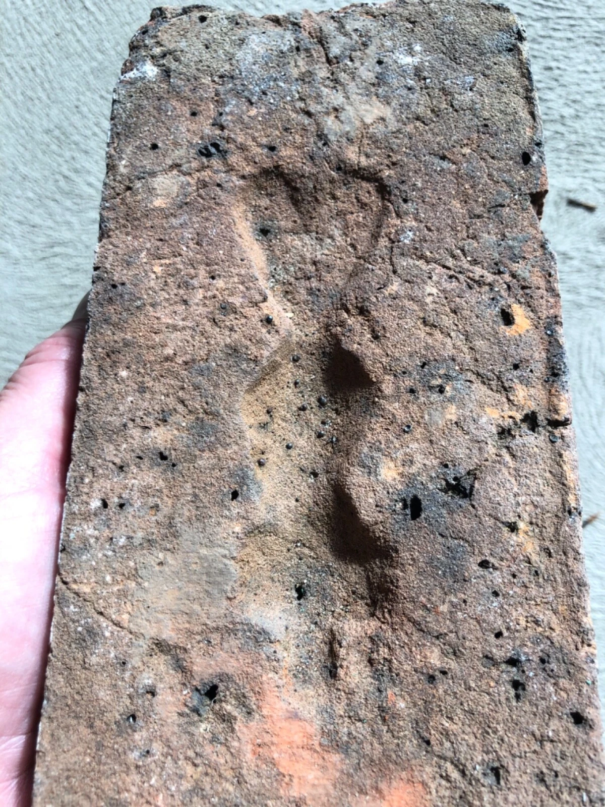 Picture 5 of 5
