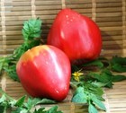 Tomato seёds, 50 tomato ADAM'S HEART seёds, Ukrainian organic SW1132 + TRACK
