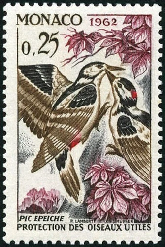 MÓNACO N° 585 "PÁJAROS, PICO EPEICHE 25 C" NUEVO x TB - Imagen 1 de 1
