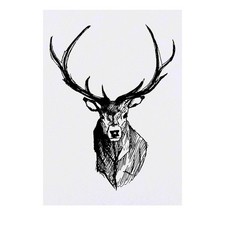 'Stag Head' Temporary Tattoos / Transfers TO00020919
