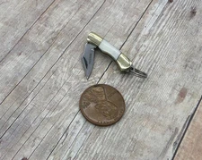 Miniature White Pocket Knife Pendant Charm Keychain Tiny Folding Knife 1"