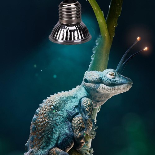 25/50/75W UVA+UVB Heat Emitter Lamp Bulb Lights Heaters for Reptile Tortois F4U1 - Picture 5 of 11