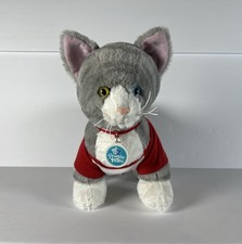 Build-A-Bear Workshop Promise Pets Grey  White Cat Plush Heterochromia Eyes