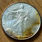 2005 - $1 Silver Eagle - 1 oz Silver - ASE Has toning