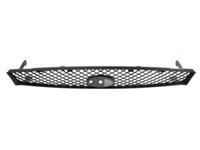 Blic 6502-07-2532991P KüHlergrill FüR Focus 10.98-10.01 Ford